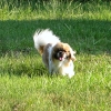 mosko