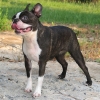 mosko2