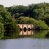 setauketmillpond