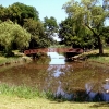 setauket park